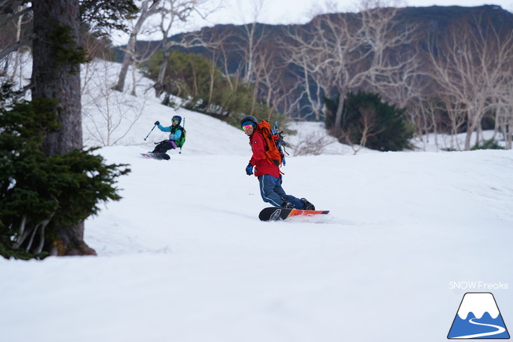 大雪山旭岳ロープウェイスキー場　カムイミンタラ『神々の遊ぶ庭』で春を楽しむ！